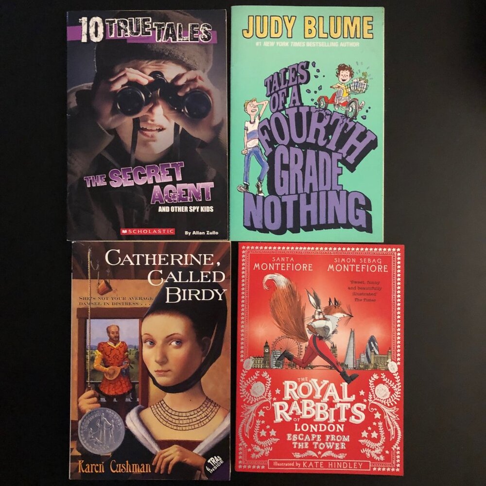 Bundle of 4 Kids Books   all in good condition